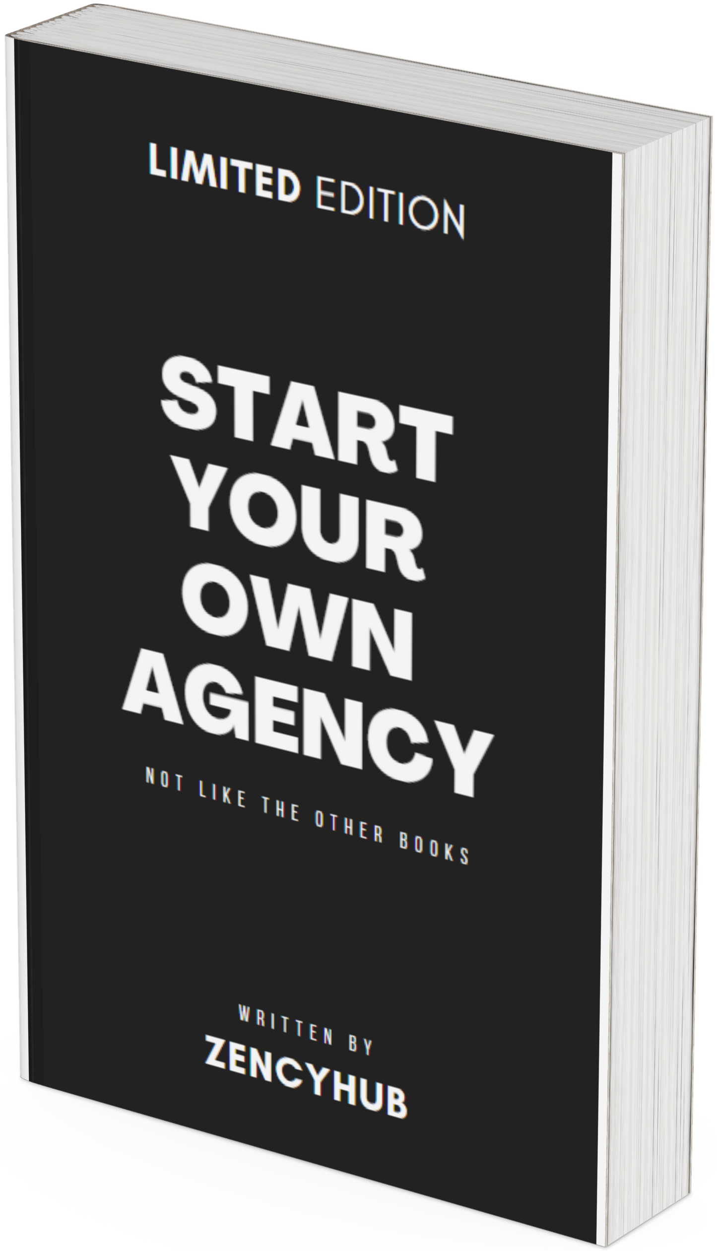 START YOUR OWN AGENCY E-Book Kurs